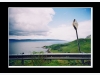 Passing place, Ardnamurchan, Scotland