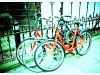 Red bikes in Amsterdam